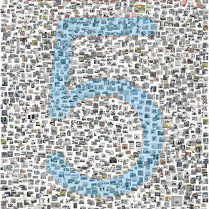 Meet your Posher, Wayne